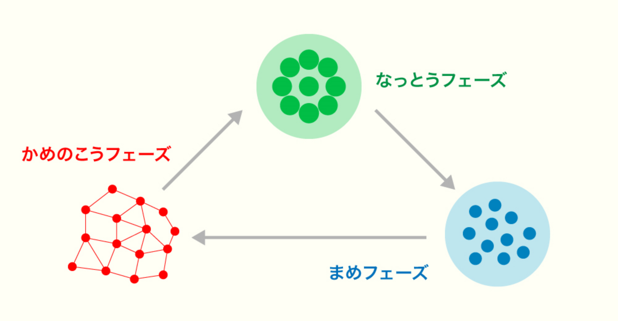 ３つのフェーズ