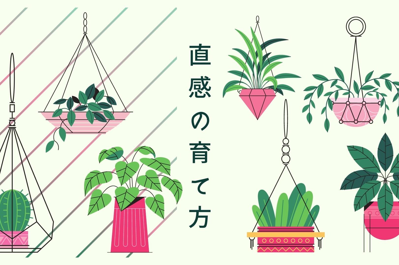 直感の育て方 直感の育て方